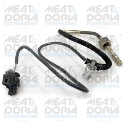 Sensor, exhaust gas temperature